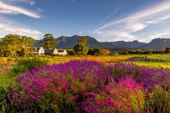 Autumn at Fancourt