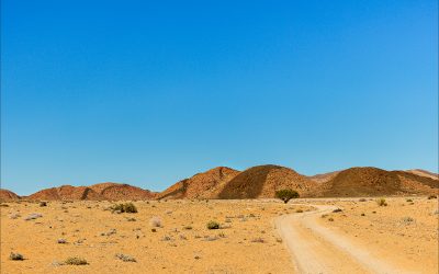 The Desolate and Forebidding Richtersveld