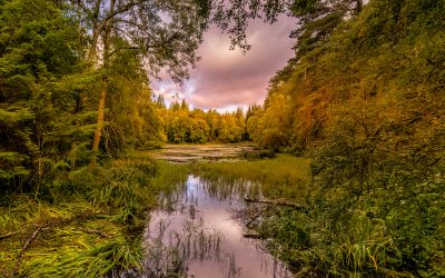 A Journey through Perthshire’s Early Autumn Landscapes