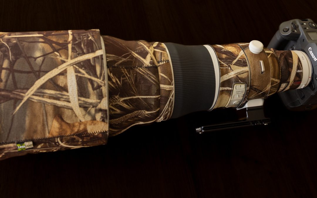 Evaluation of camera lenses and bodies used in the Kgalagadi